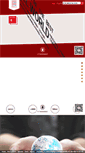 Mobile Screenshot of fescoanhui.com